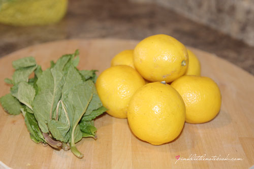 lemonmint